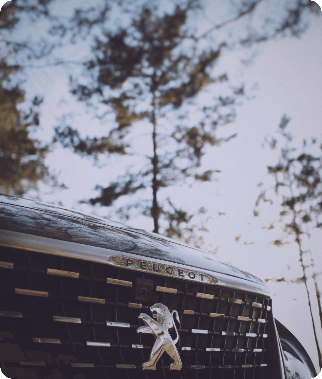 Выкуп Peugeot в Новосибирске: цена | Срочно продать автомобиль Пежо дорого